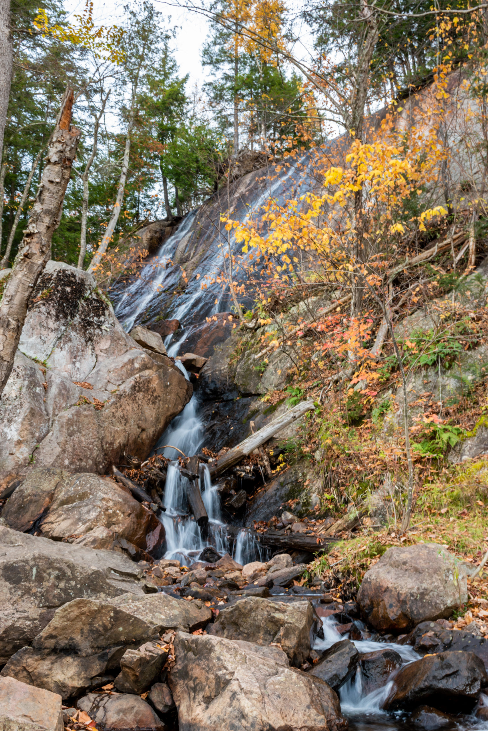 Morning-Mont-Tremblant-MTLCompass